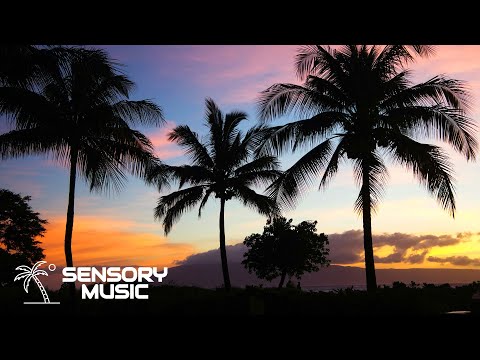 Noel Holler x Picco - Yeke Yeke