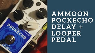 Video thumbnail for ammoon Pockecho Delay/Echo and Looper Pedal Demo by Andrew's Alcove