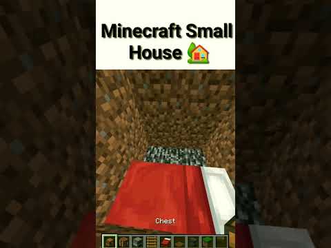 EPIC Mini House Build! #Minecraft #Shorts