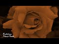 Borderless Aakash Gandhi 1 Hour