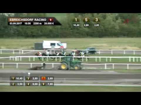 2017.09.03 Austrian Derby - Black Canyon