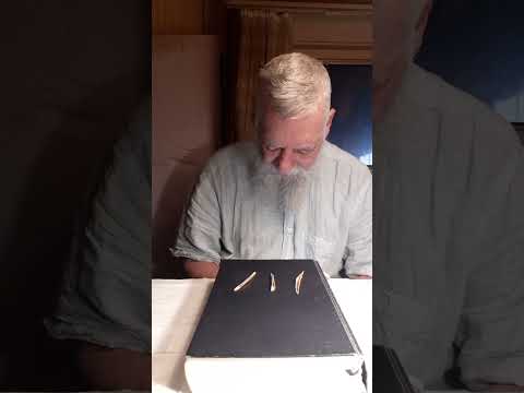 Torah Lesung "HaAzinU" = הַאֲזִ֥ינוּ  = "Das Ohr Unser" (Nr.53/2025)