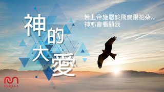 【粵語原創詩歌】神的大愛 | RedSea Music | 若上帝施恩於飛鳥跟花朵,神亦會看顧我。