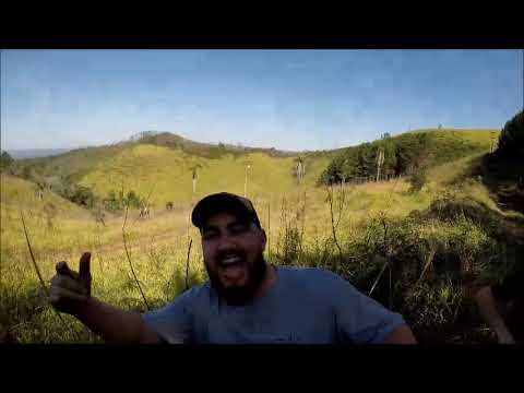 Sopa do Pinhão 2022