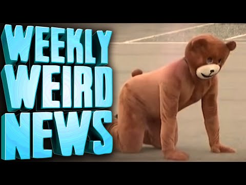 Japan's Bear Problem - Weekly Weird News