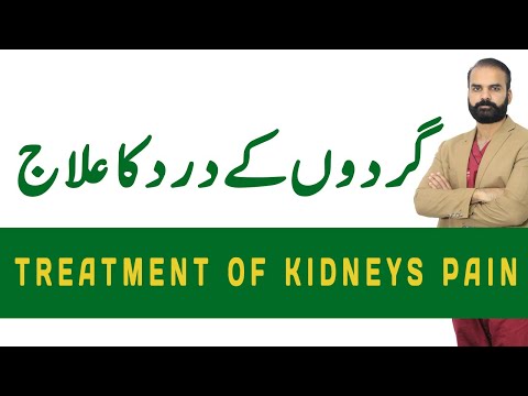 Kidney Pain | Kidney pain treatment | How to know if you are having Kidney pain  in Urdu/Hindi