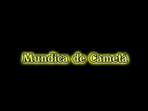 Mundica de Cametá Pá