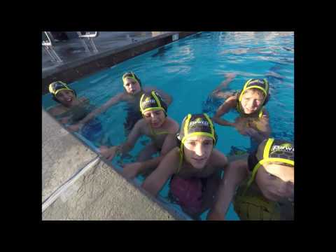 Powers Aquatics