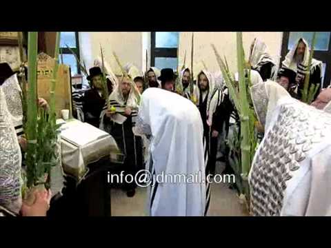 Sukkos 5773 In Stetchin (Silver)