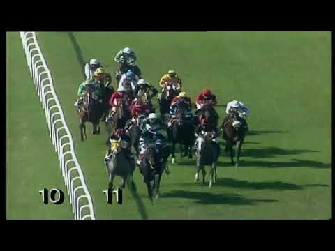 Bold Pilot - Halis Karataş | 1996 Gazi Koşusu