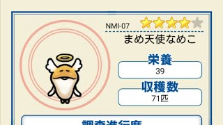 ｢なめこ島｣で｢まめ天使なめこ｣を大量収穫した｡
