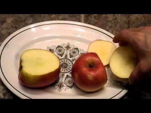 download lagu mp3 mp4 Difference Between Fuji And Gala Apples, download lagu Difference Between Fuji And Gala Apples gratis, unduh video klip Difference Between Fuji And Gala Apples