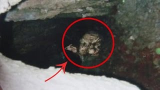 5BGUeDmSBvI/default.jpg