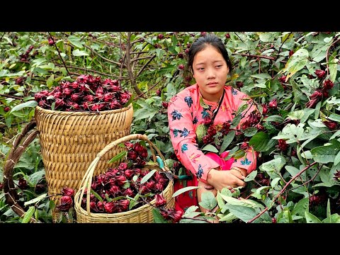 Nostalgia for Pao: Red Artichoke Flowers and My Grandfather's Market Stal | Sung A Pao