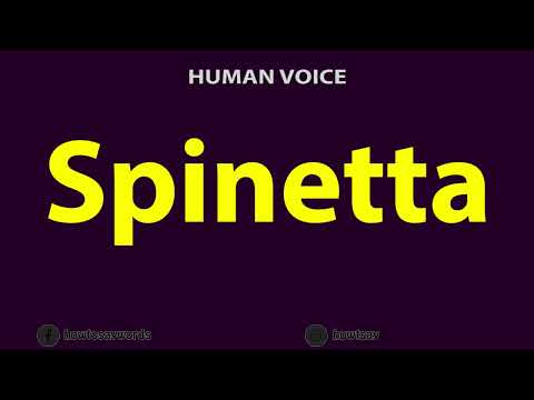 How to Pronounce Spinetta