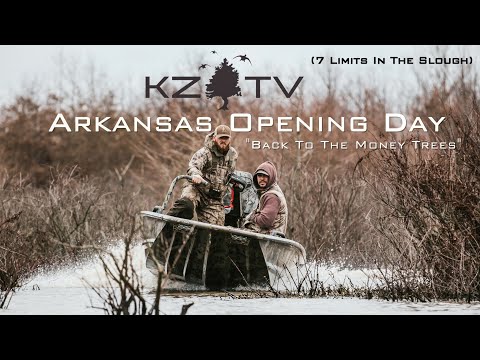 Arkansas Duck Opener!! Slough Duck Hunt (7 Limits) - K ZONE TV: "Back To The Money Trees"