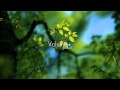 MitiS-Parting (Original Mix) 