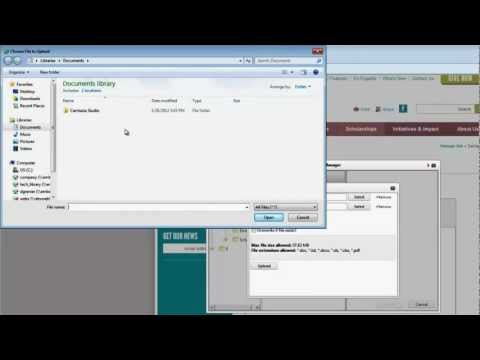 19. Working with Documents in the RadEditor - DNN Video Tutorial - Embolden