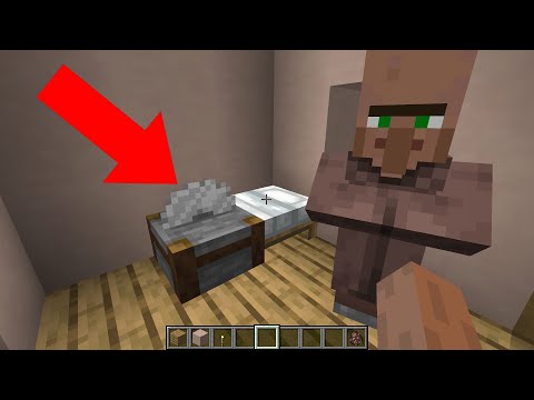 villager go sleep (he did)