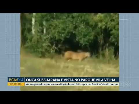 Thumbnail do vídeo
