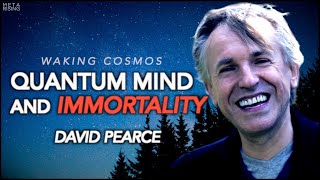 Quantum Mind, Transhumanism, and Paradise Engineering | David Pearce | Waking Cosmos