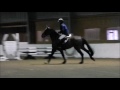 Heldorado HH