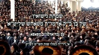 Wedding Highlights, Tosh - Pupa, In Canada | שמחת החתונה בחצרות טאהש - פאפא בקנדה