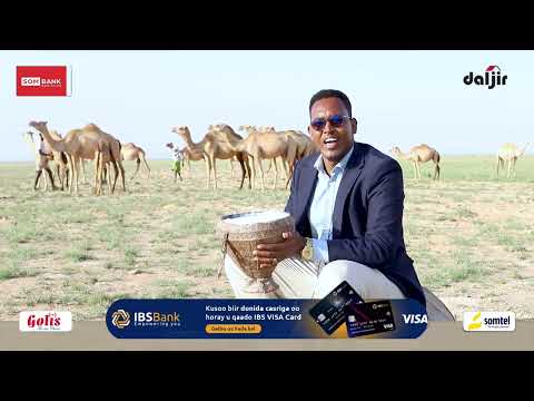 LAASCAANOOD: Dhaqashada casriga ah ee Geela iyo deegaanka Saaxa-Gabagabo |