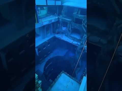 The World Deepest Pool | Deep Dive Dubai | 60 meter Pool | Thrill Seekers | #water #pool #deep #gd