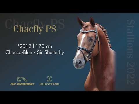 Chacfly PS - Jumping Collection Schockemoehle & Helgstrand 2022 (ENG)