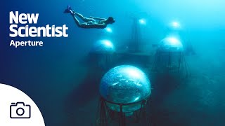 The underwater sea farm that's like a space station