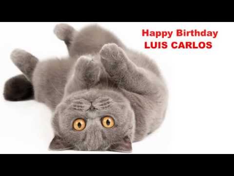 LuisCarlos   Cats Gatos - Happy Birthday