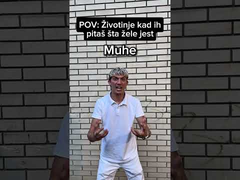 POV: Životinje kad ih pitaš šta žele jest #bibotv #balkan