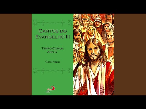 Nenhum dos Cabelos de Vossa Cabeça - MÚSICA PARA MISSA