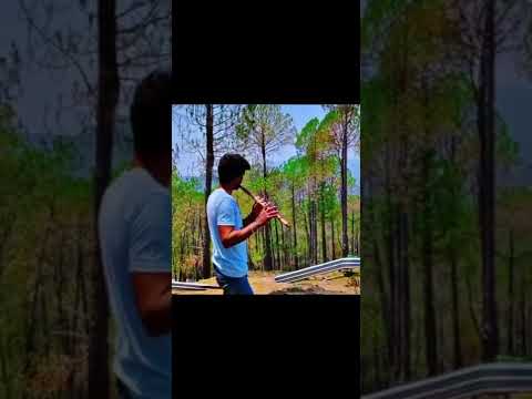 Biroo bhadu ku Desh.