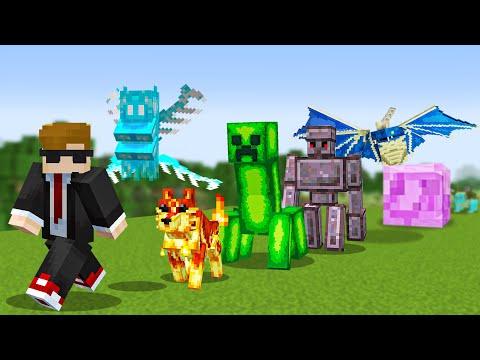 Minecraft, But You Can Upgrade Any Mob...