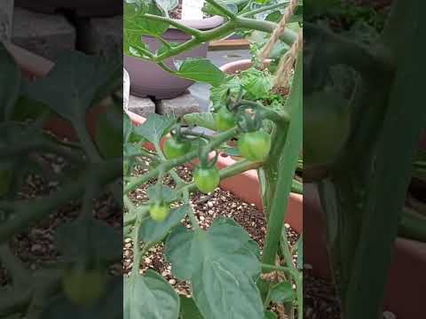 aménagement toit terrasse -canapés-résine-tressée-tapis-extérieur-table-basse-métal-déco-coussins-plantes