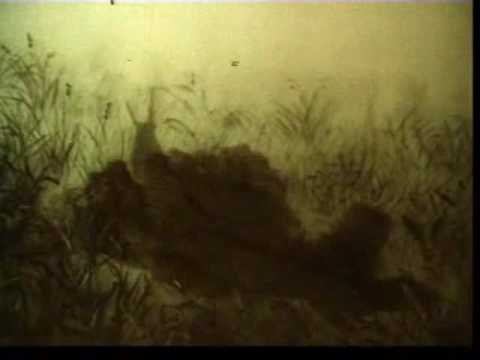 Sequent Industry - Forbidden Imaginations (2007)