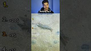 Ranking Top 5 Deep Sea Catches