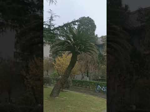 Sichuan medical university china (Chengdu)