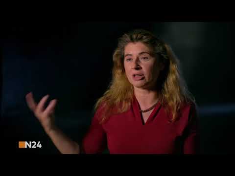 DIE WELT Strip the Cosmos - Jupiter