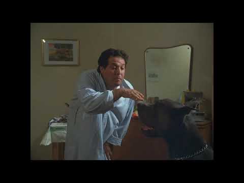 La casa stregata, Gaetano il barman