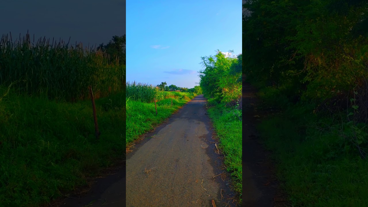 Nature photography with old song ❤️😢 | sunset photo and nature photo #nature #sunset