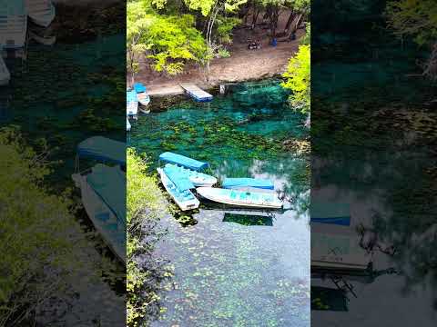 Arroyo el Pucté Las Cruces Petén #guatemala #petén #mavic4pro #parati #pilotodedrone