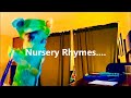 Updated Tatum Christopher Swanson Video Tutorial