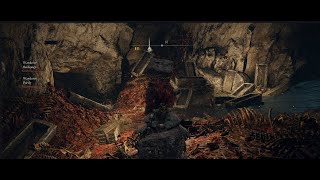 Elden Ring ant caves Co op