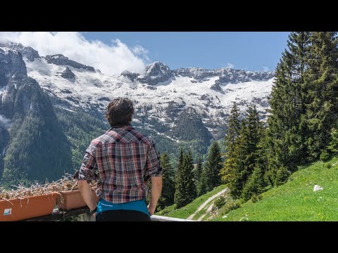 Nuvole e stambecchi al Passo degli Scalini • 2.022 m s.l.m. • Alpi Giulie