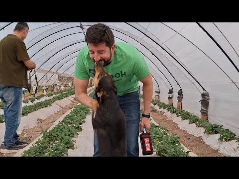 RÍO COLORADO Y CHOELE CHOEL: BIENVENIDOS AL VALLE MEDIO DE RÍO NEGRO - #EpisodioEstreno 17/10 - A24