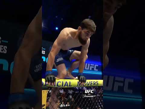 UFC video artwork