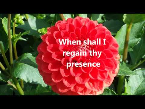 O My Father video
